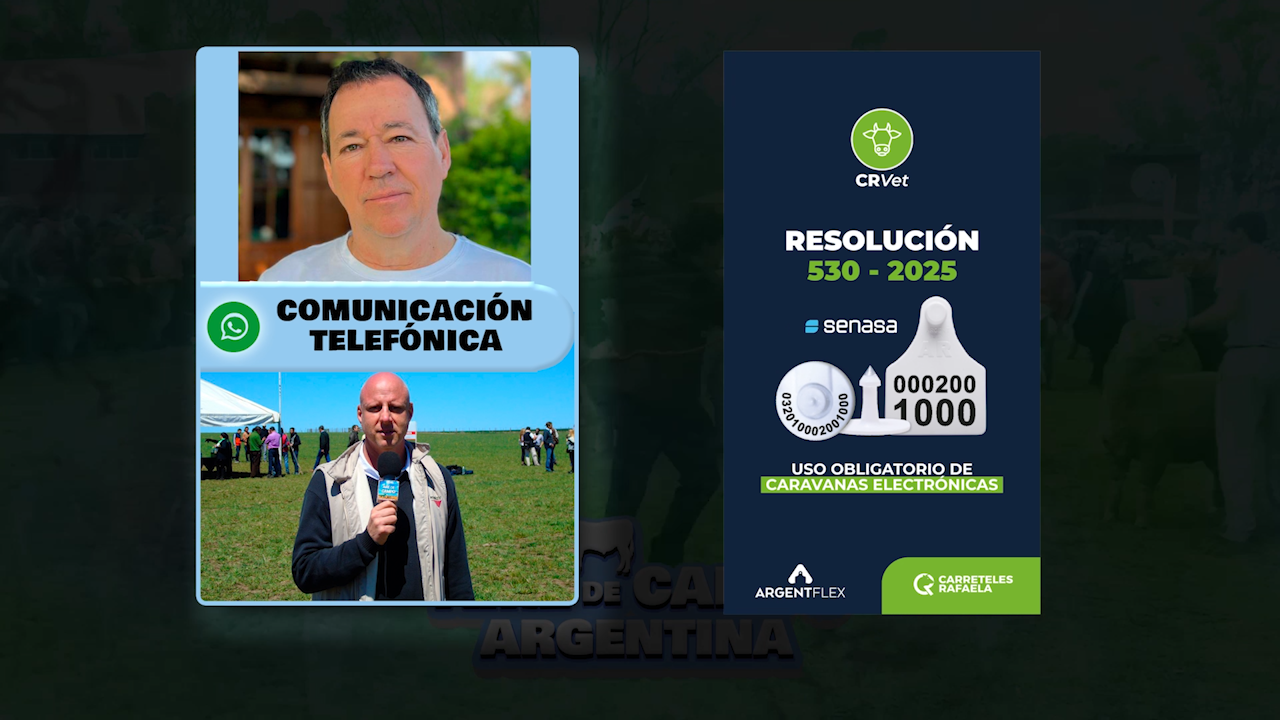 Caravana electrónica obligatoria: advierten que desde diciembre ya no se venderán más las tradicionales