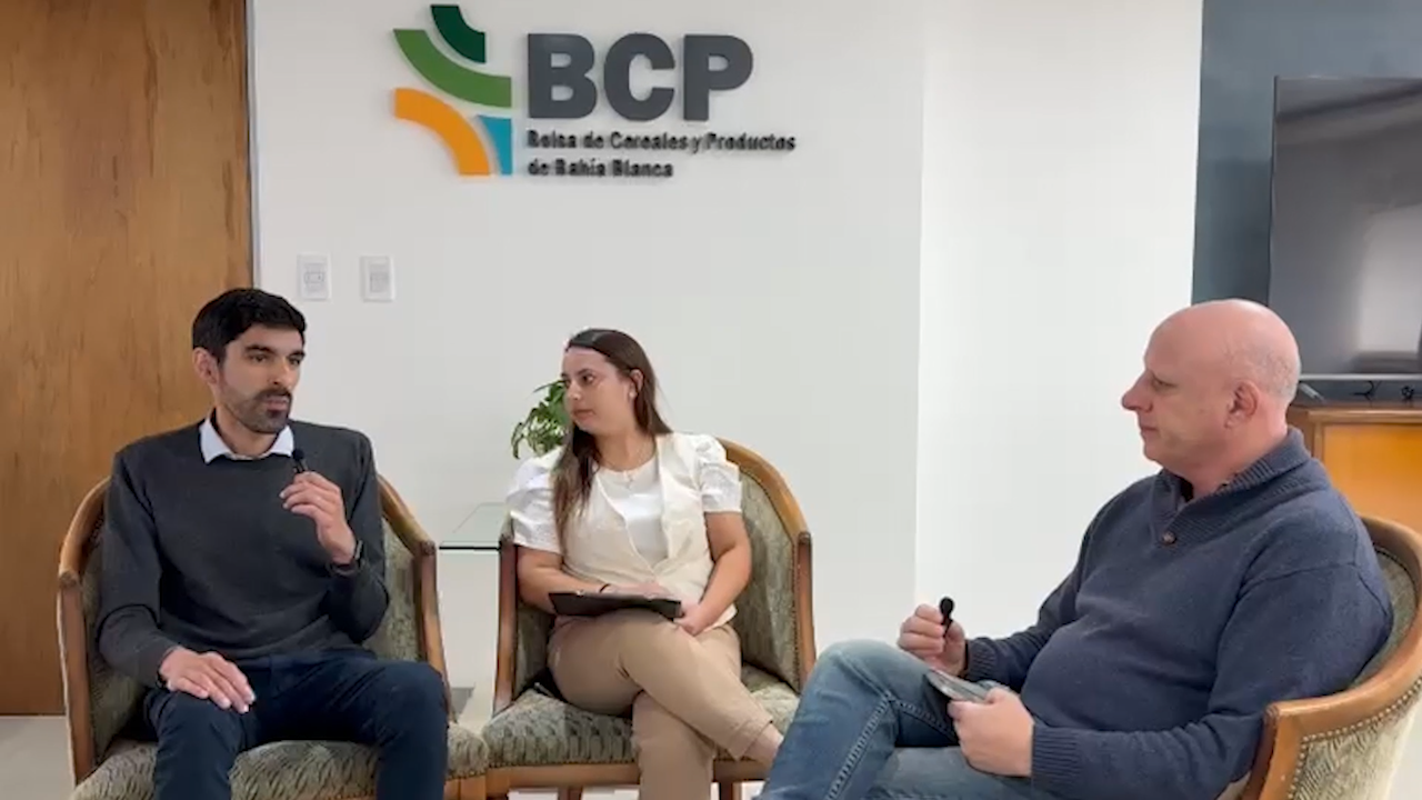 Aire de Campo Argentina: así pinta la cosecha fina en la región