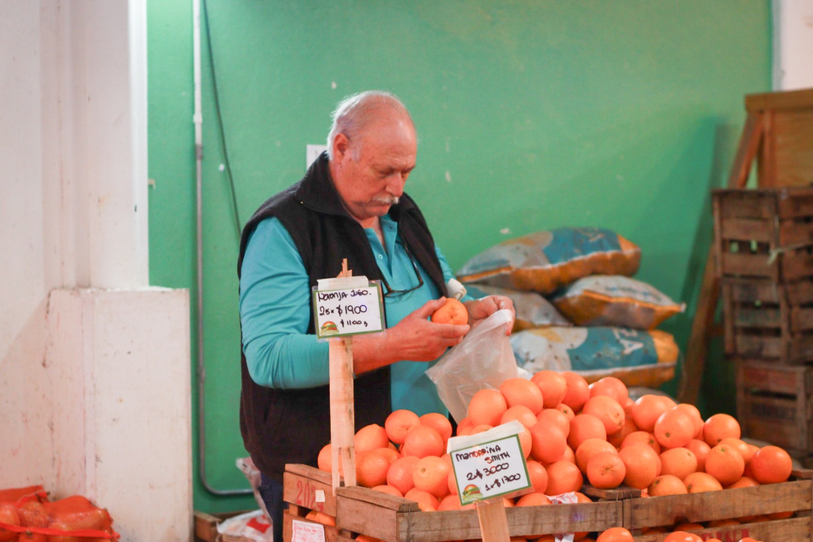 Fin de semana en el Puerto