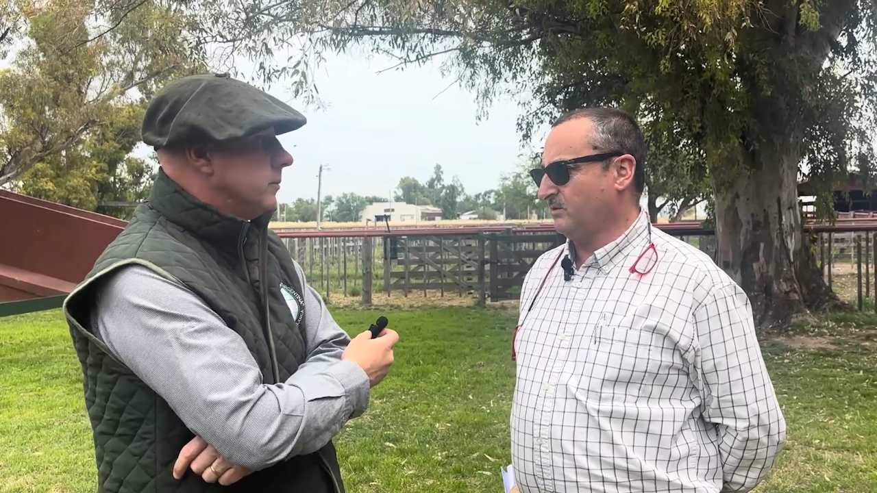 Micro de Aire de Campo Argentina en BVC Noticias: Hacienda en General Lamadrid