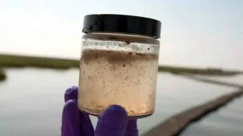 Alertan que un 70% de la provincia de Buenos Aires está en riesgo por la presencia de arsénico en el agua