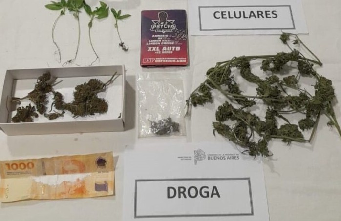 Dos hermanos fueron condenados por tener droga para la venta en Bahía Blanca