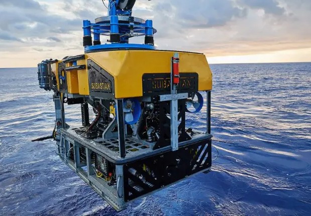 El IADO será parte de la última campaña del Falkor (too) para estudiar ecosistemas profundos del Mar Argentino