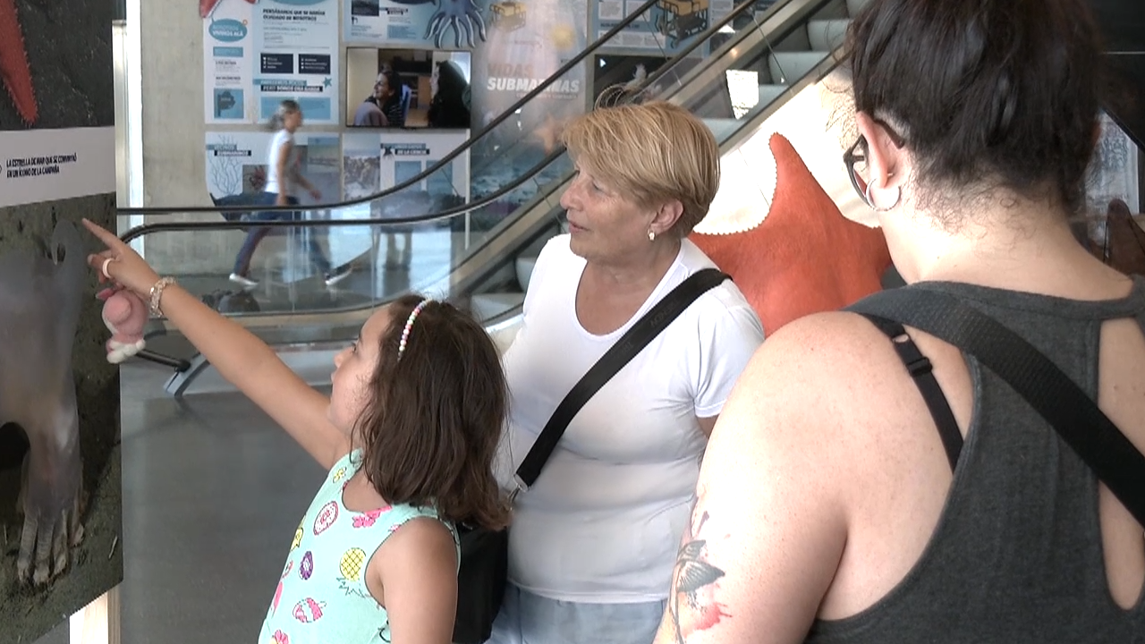 En Bvcnoticias conocimos más de “Vidas submarinas”, una muestra de arte y ciencia