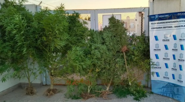 Un allanamiento por una moto robada, terminó con el secuestro de 14 kilos de marihuana