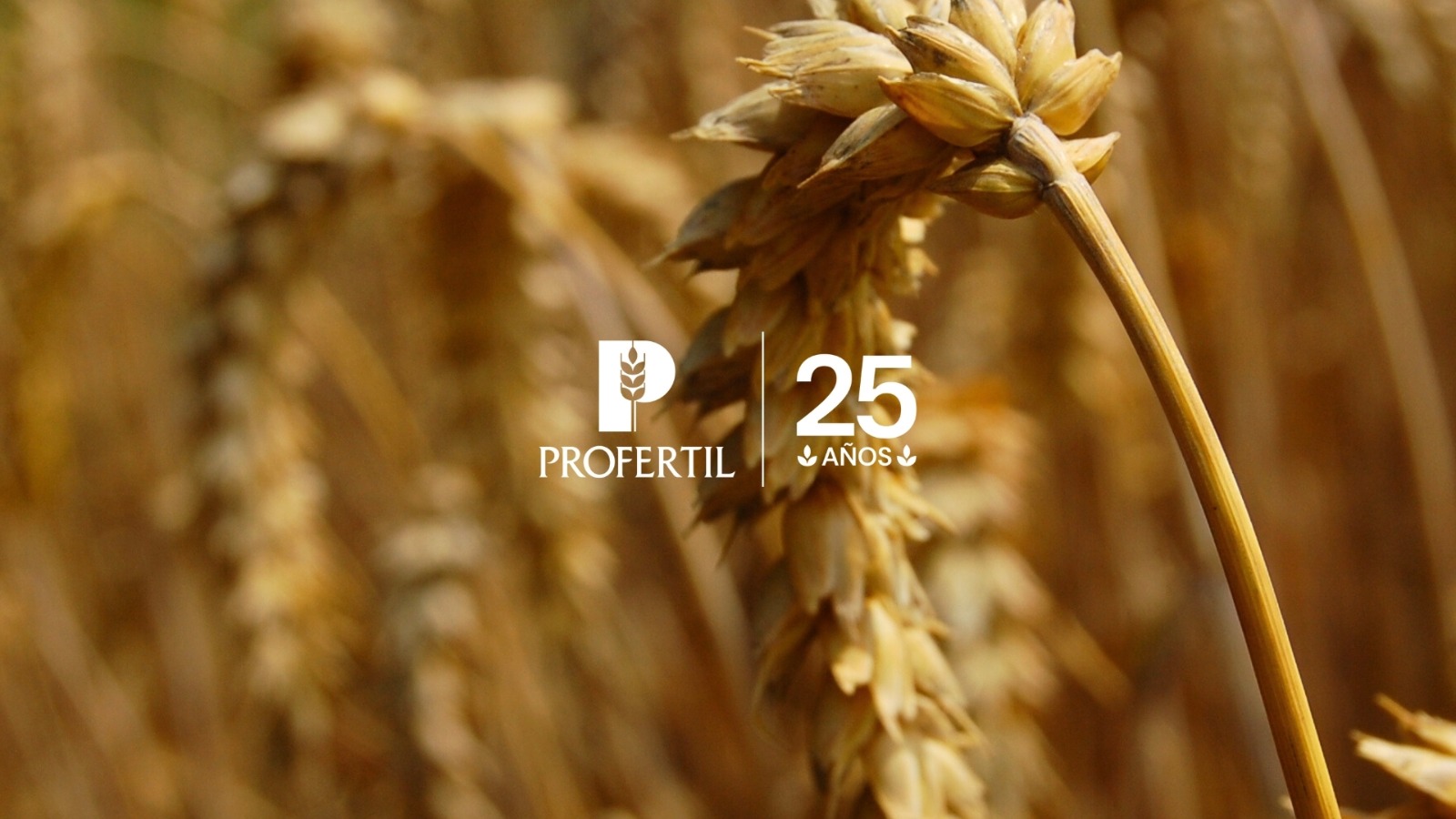 Profertil cumple 25 años produciendo urea y consolida su rol estratégico para el agro argentino