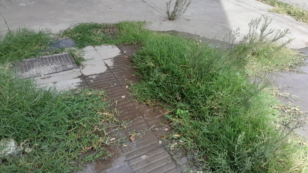 Vecina denuncia la peligrosidad de una pérdida de agua en la puerta de su casa