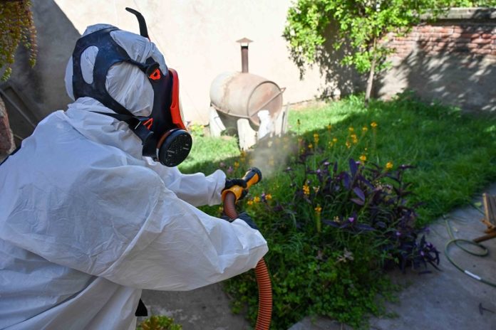 Tareas de prevención de dengue en Villa Delfina