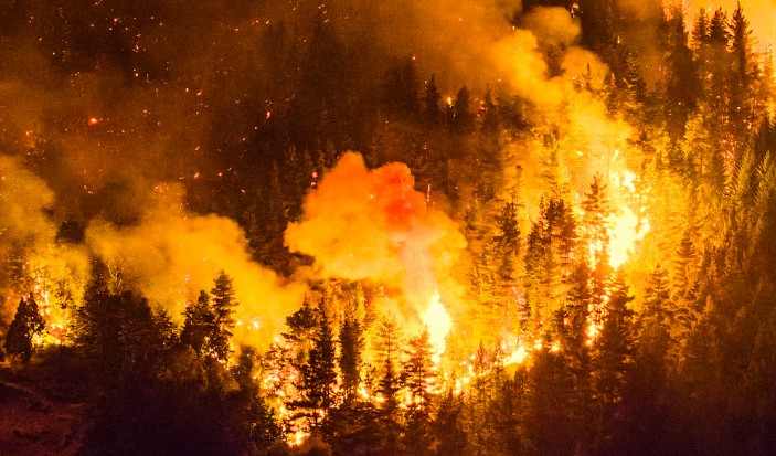 Milei agradeció a quienes combaten los incendios en Chubut