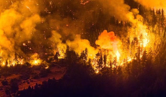 El Gobierno acordó declarar por DNU la Emergencia Ígnea para las provincias afectadas por los incendios en el sur