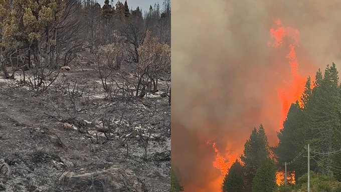 “Es imposible frenarlo”: los incendios en Chubut no dan tregua
