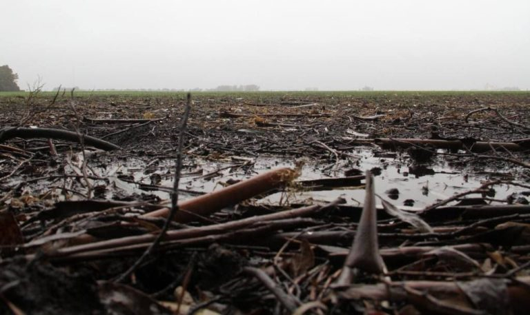 Cuánto llovió en nuestra zona