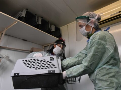 Días y lugares para la atención veterinaria gratuita