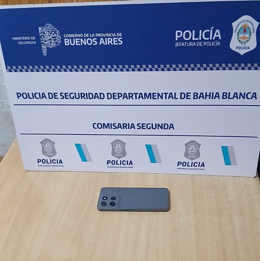 Detienen a un delincuente que agredió a una joven para robarle el celular