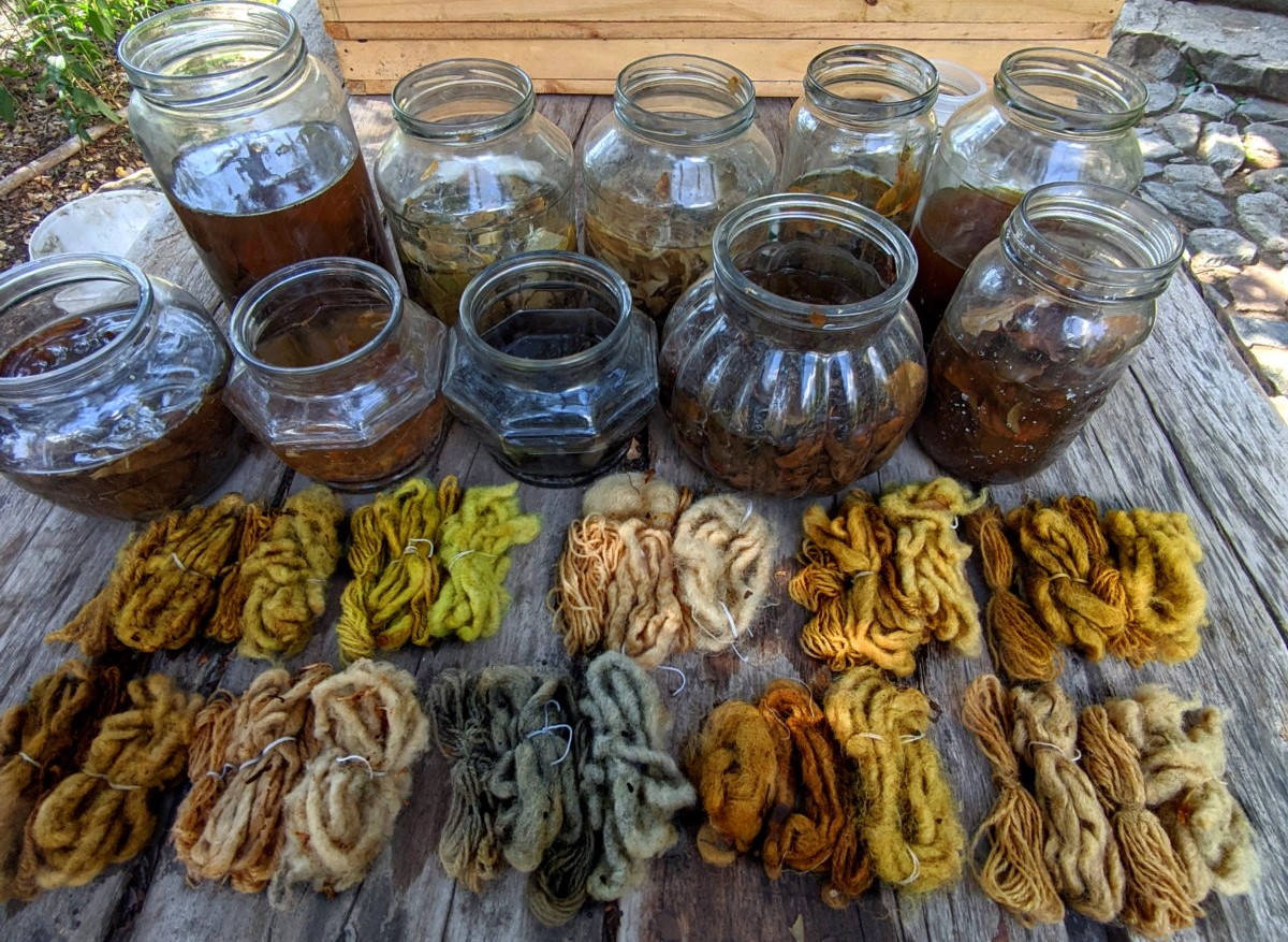 “Taller de Tintes Naturales e Impresión Botánica”