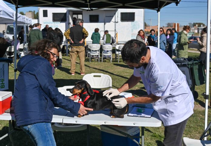 Veterinaria y Zoonosis: cómo será la atención del 6 al 10 de abril
