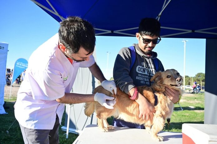Días y lugares para la atención veterinaria gratuita