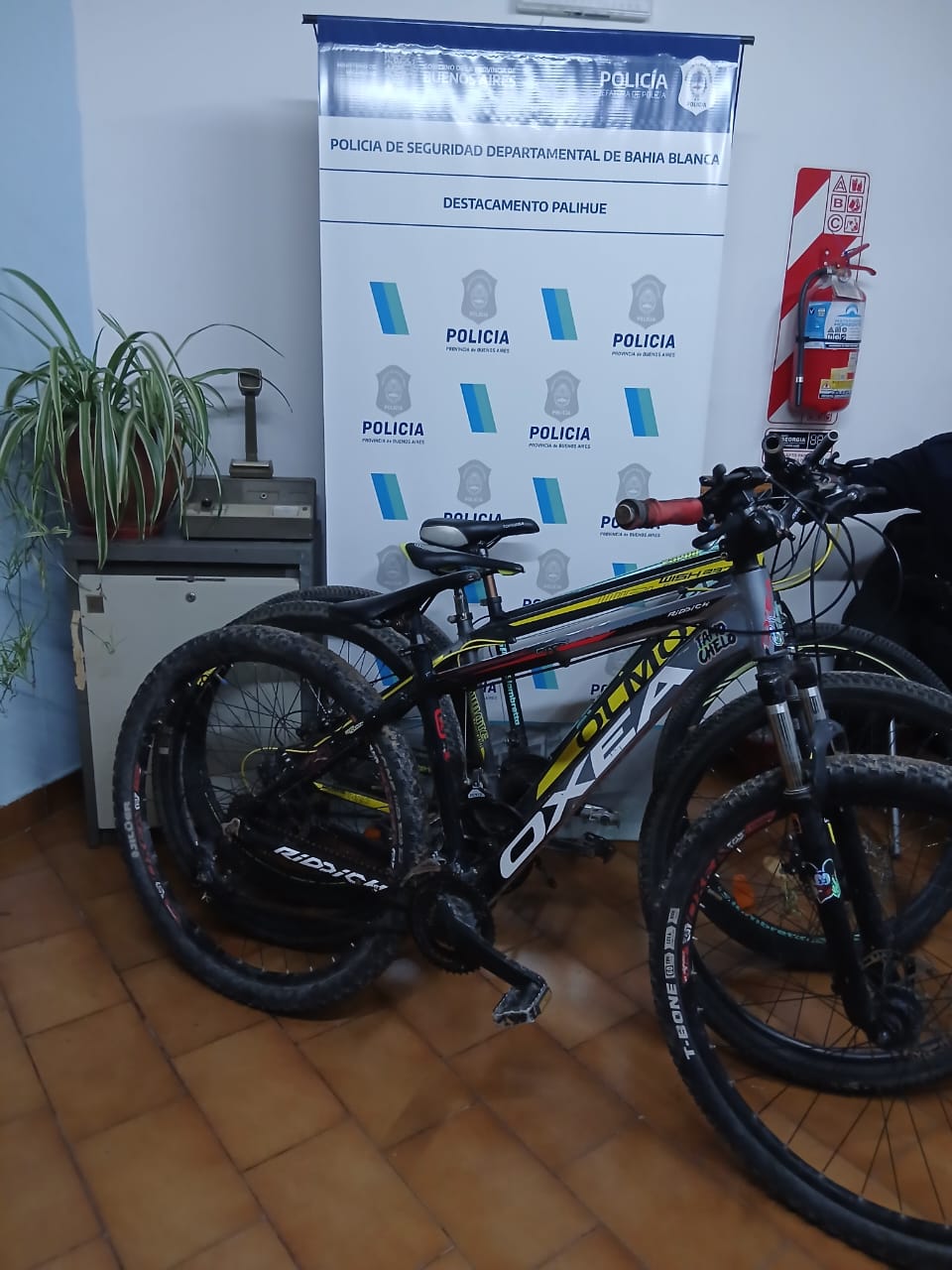 Tres delincuentes entraron a un local comercial nocturno, dos de ellos fueron atrapados