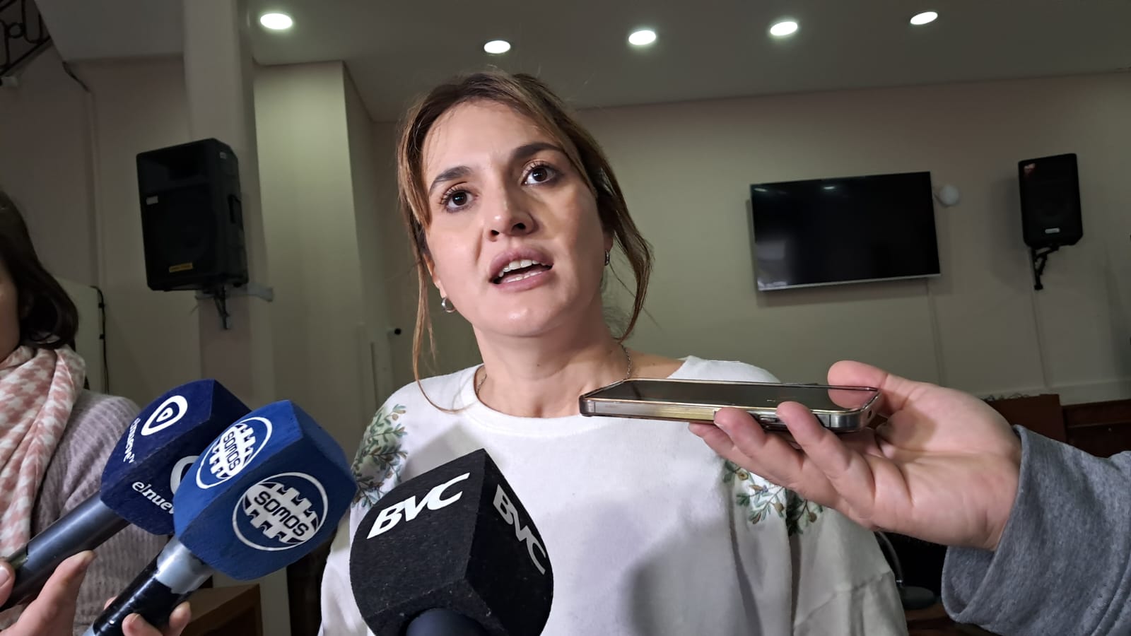 Caputo advirtió que concejales quieren usar el tema de las amenazas para cambiar la discusión