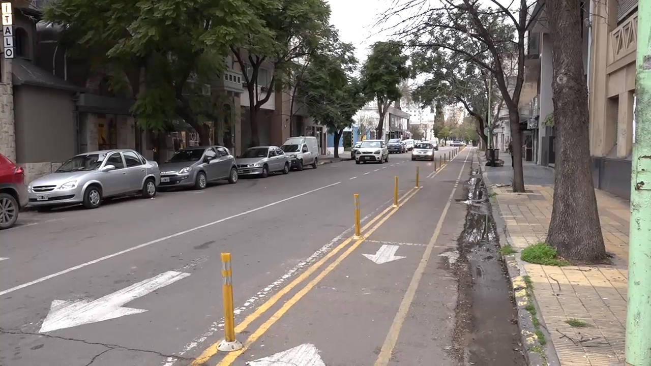 “Evaluar sí, retroceder no”: la postura de PSI sobre las ciclovías en Bahía Blanca