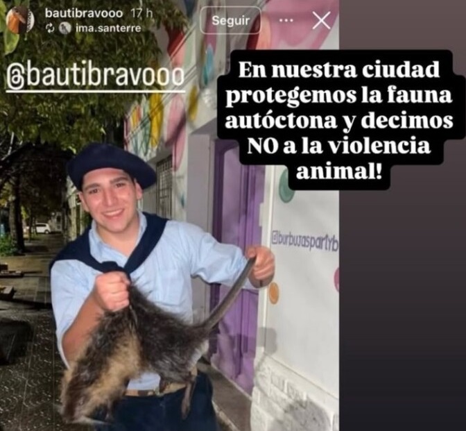 Denuncian maltrato animal en Bahía Blanca: dos jóvenes mataron a un coipo en la vía pública