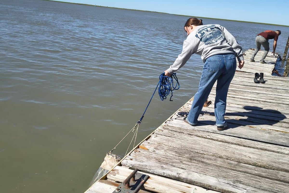 Crean una alianza científica para monitorear las costas bonaerenses y norpatagónicas