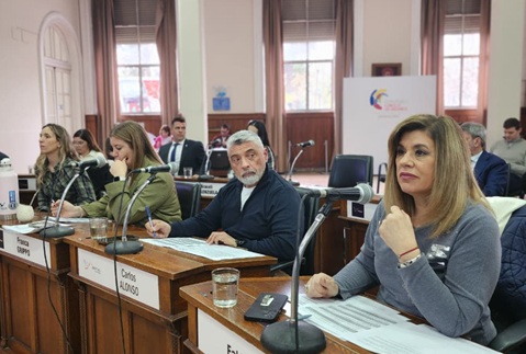 El HCD aprobó proyectos vinculados a salud, infraestructura, desarrollo urbano y espacios públicos