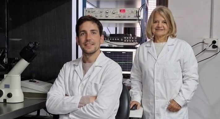 Científicos bahienses realizan un avance clave para entender el impacto del cannabis en el cerebro