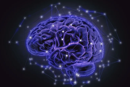 Semana del Cerebro 2026: dos jornadas para descubrir, entender y cuidar nuestro cerebro