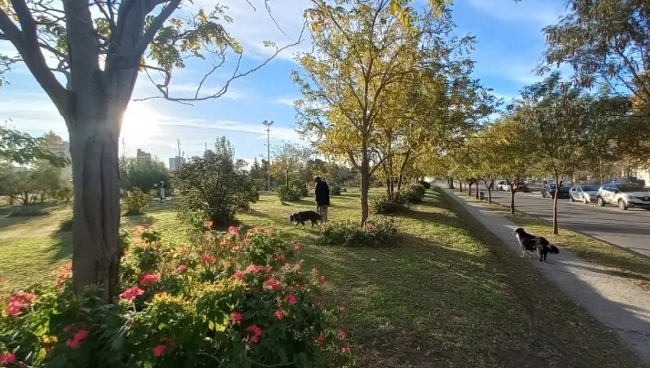 Encontraron a un hombre muerto en la Plaza del Algarrobo