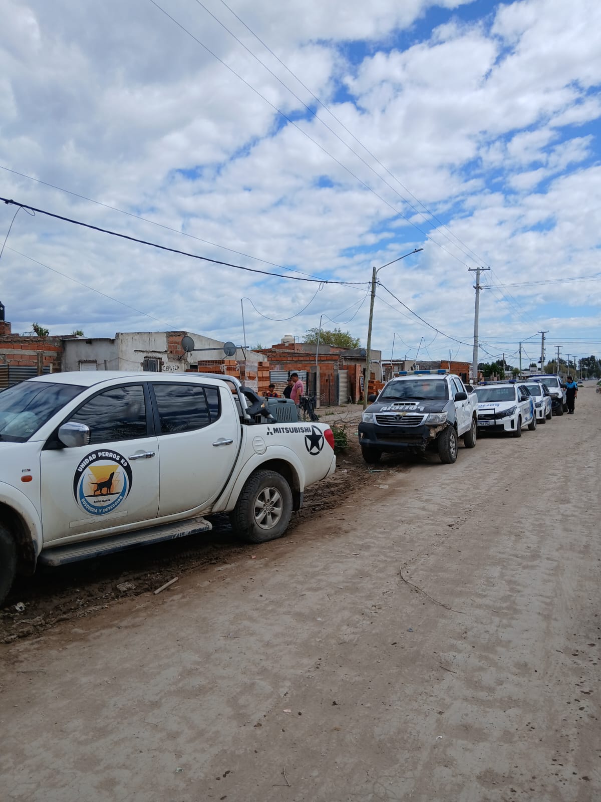 Perros rastreadores buscan al hombre que desapareció
