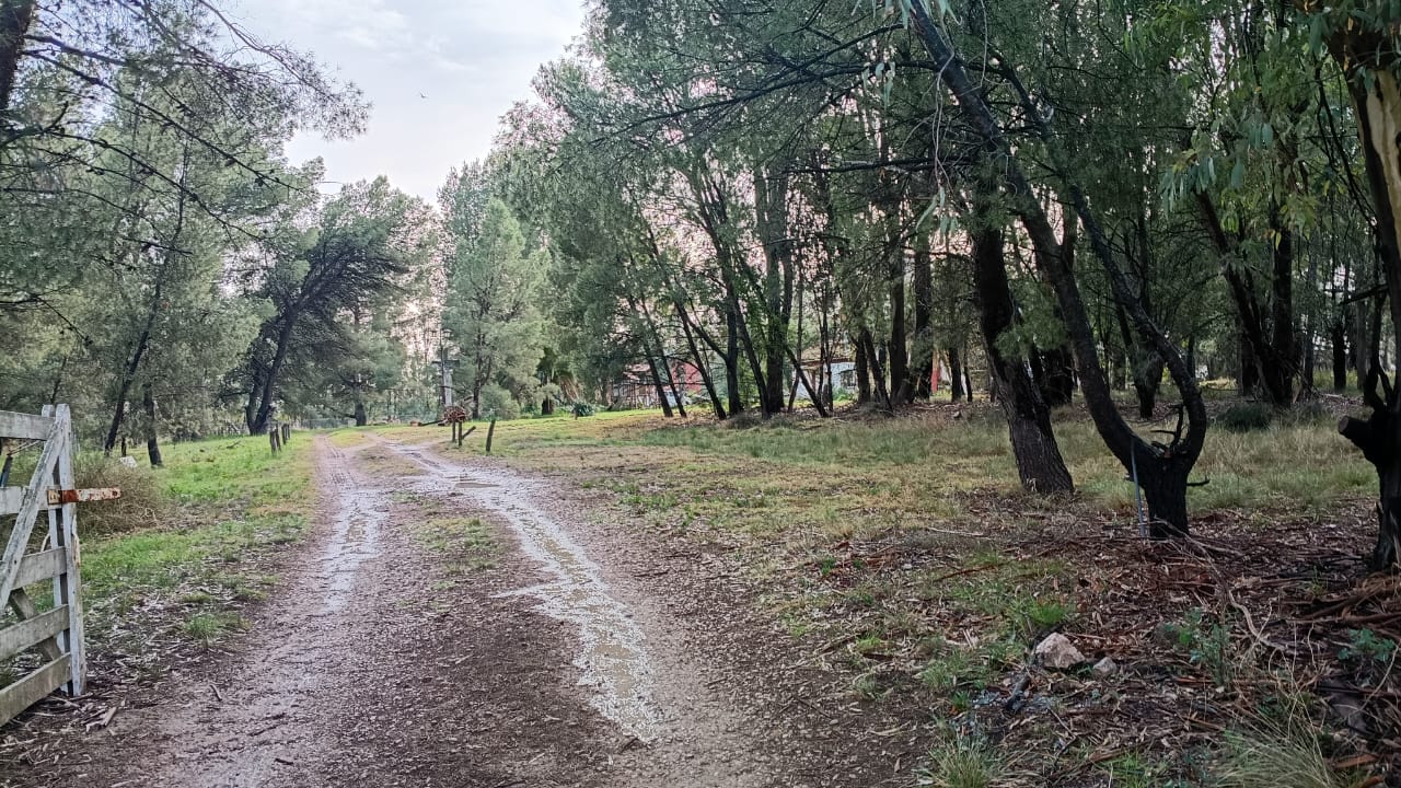 Detuvieron a una menor de 15 años que entró a robar armada a una casa