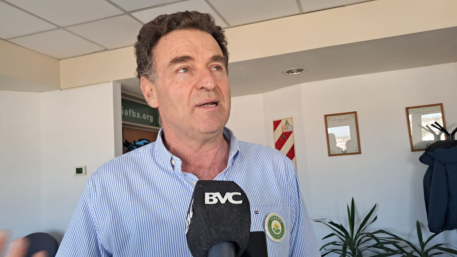 Código de Ordenamiento Urbano: El Colegio de Agrimensores planteó inquietudes sobre el arbolado y los productos fitosanitarios