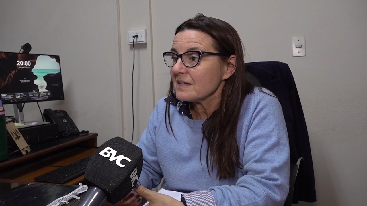 “Implementar el nuevo régimen penal juvenil requiere muchísima ingeniería institucional”