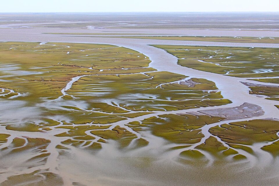 Confirman contaminación con microplásticos en el estuario y playas de la región