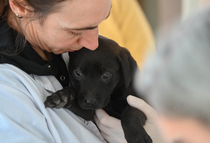 Dónde habrá atención veterinaria gratuita la próxima semana