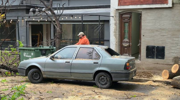Un árbol cayó encima de un auto en Yrigoyen y Dorrego