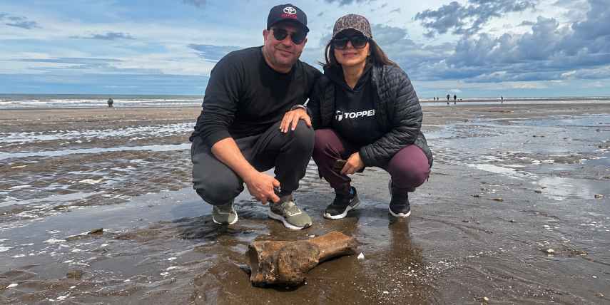 Encuentran fósil de megaterio en la playa de Monte Hermoso