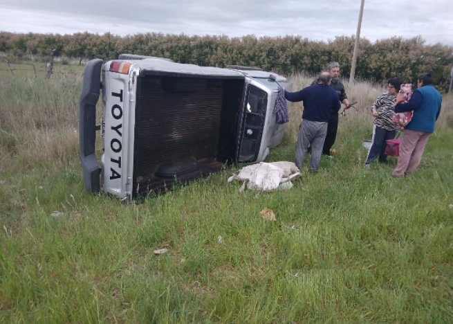 Volcó una camioneta en la Ruta 249 por intentar esquivar unos perros